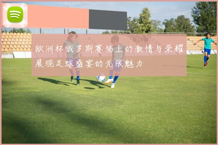 欧洲杯俄罗斯赛场上的激情与荣耀展现足球盛宴的无限魅力