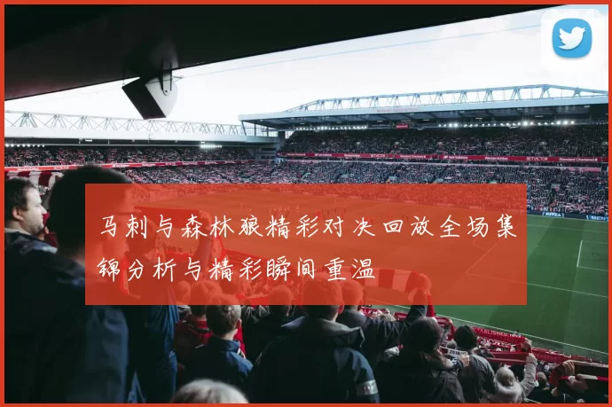 马刺与森林狼精彩对决回放全场集锦分析与精彩瞬间重温